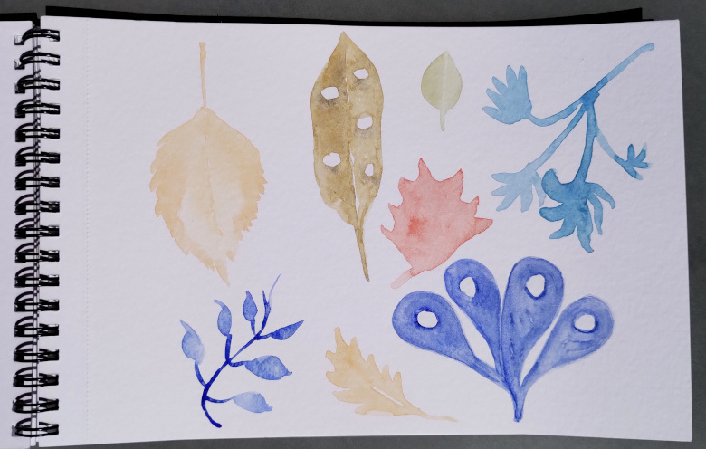 fiori pagina D prima velaturap